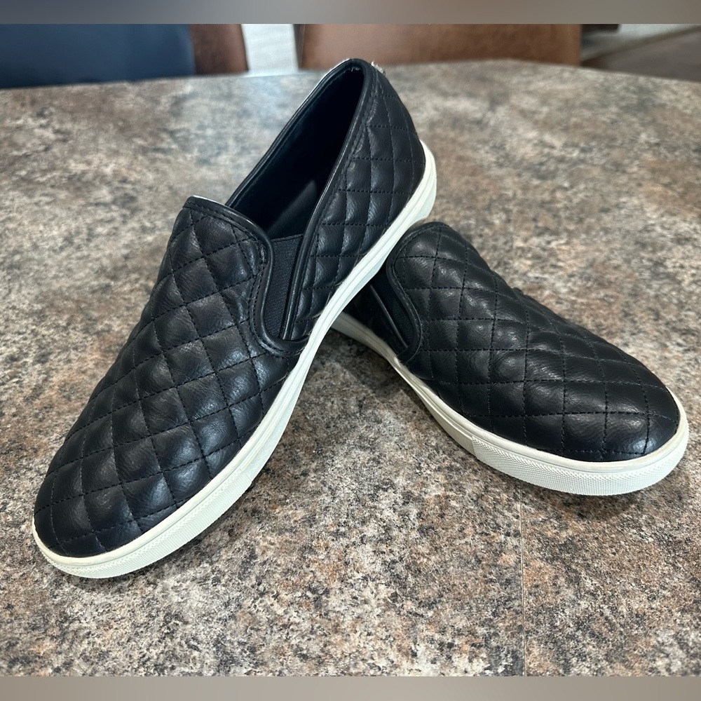 Steve Madden Ecentrcq Sneaker